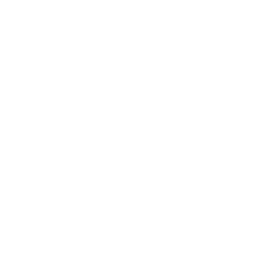Icon 3