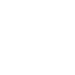 Icon 3